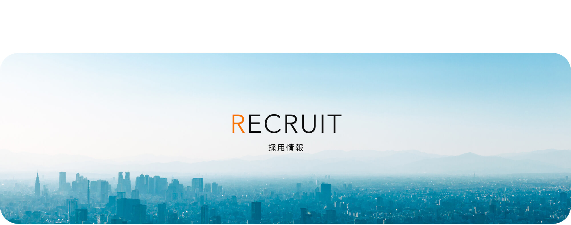 採用情報